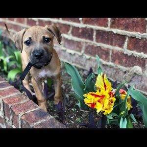 Meet your Posher, Makayla